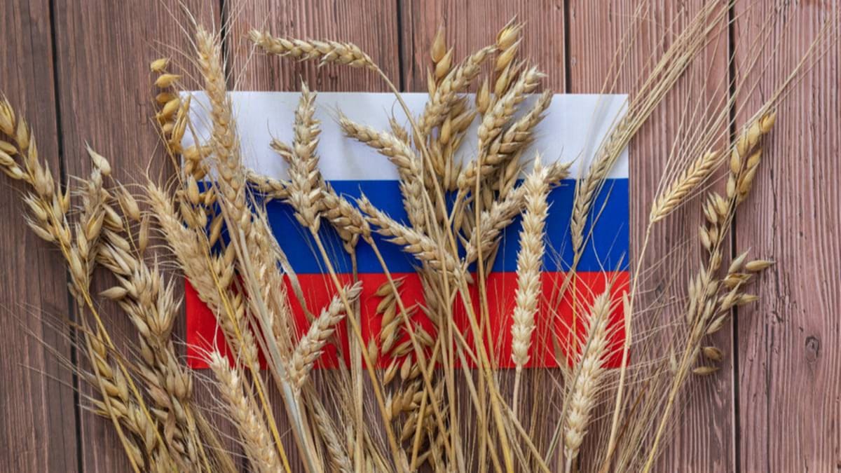 Російське зерно. Ілюстративне фото: росЗМІ